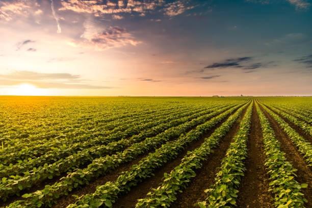 Agriculture industry logistics and transportation